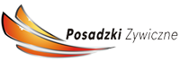 posadzkizywiczne24.pl