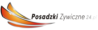 posadzkizywiczne24.pl